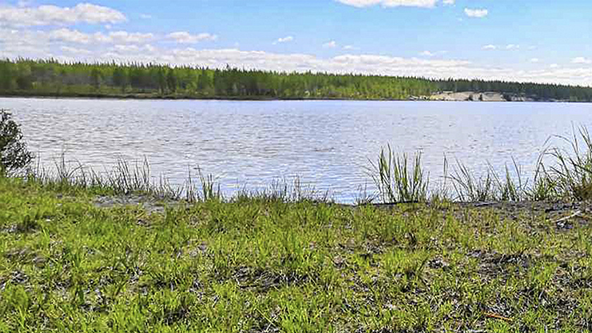 Уровень воды в реке Пяку-Пур за сутки снизился на девять сантиметров 