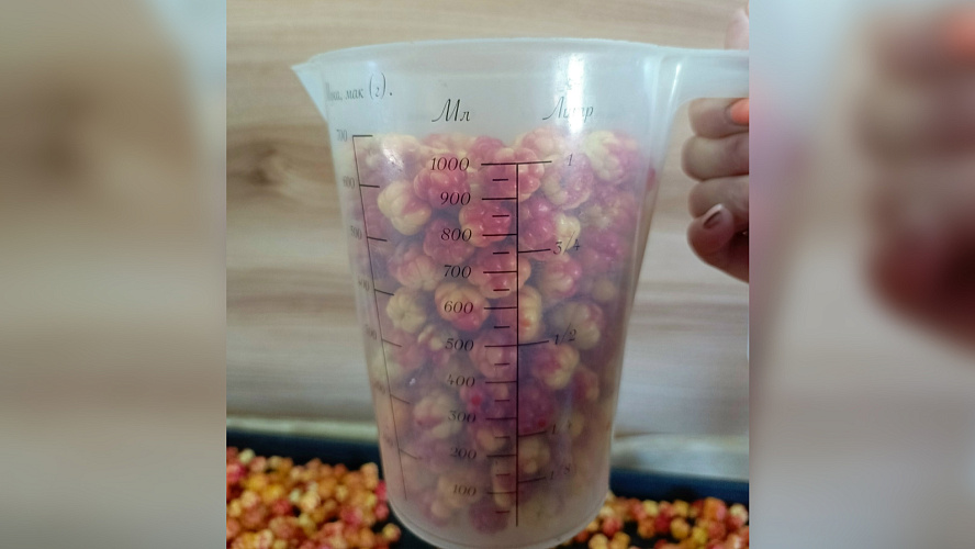 Фото: VK | Объявления Салехард | Лабытнанги