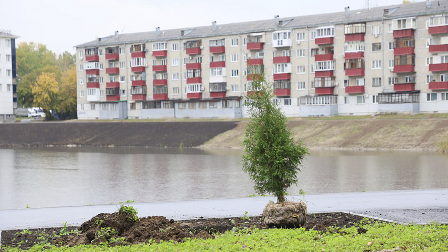 Фото: Tелеграм | Тюмень. Администрация города