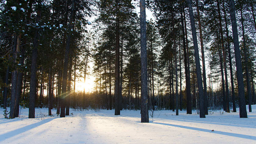 Пятница на Ямале: от лютого мороза до апрельской капели
