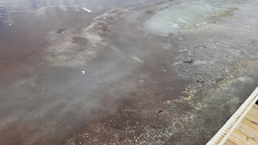 Фото: ВКонтакте | Злой Ноябрянин