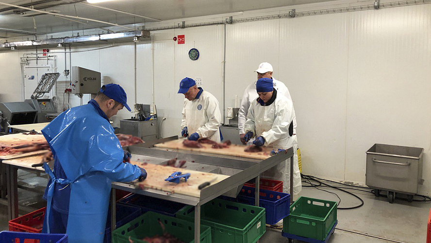 Фото: Tелеграм | Ямальский агропром