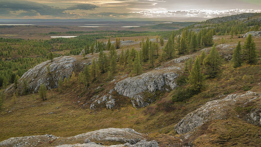 Фото: Telegram | Лабытнанги + Харп