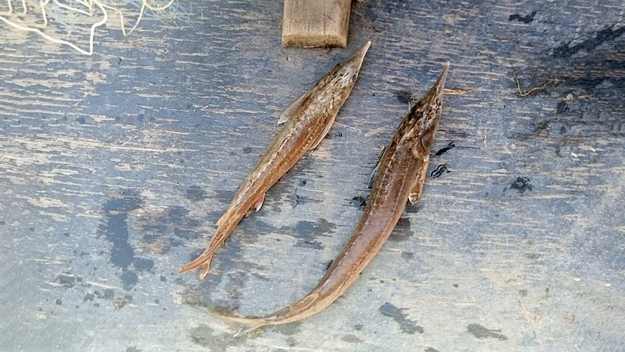 Фото: Tелеграм | Полиция Югры