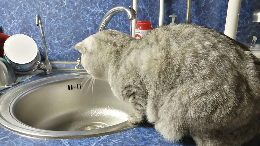 Жители Аксарки 25 августа останутся без воды