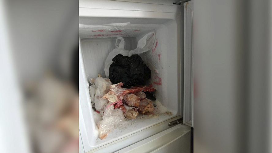 Фото: ВКонтакте | Честный Тазовский