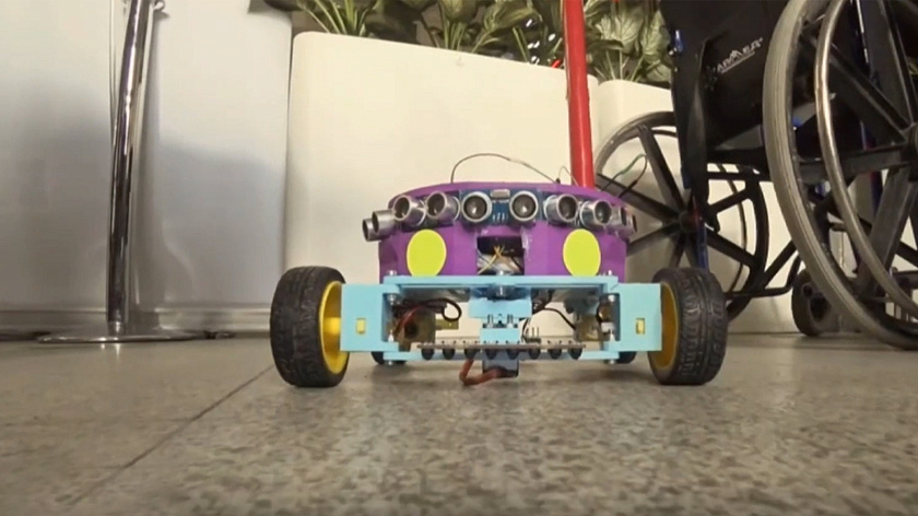 Талантливая школьница из Екатеринбурга получила премию за разработку робота-поводыря