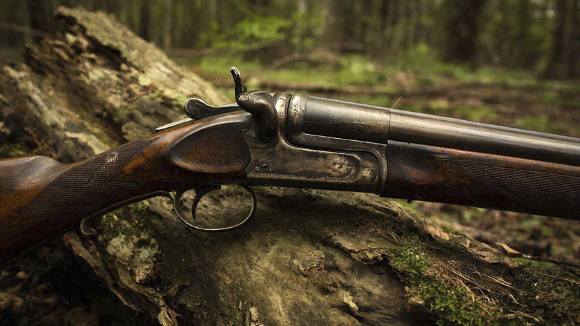 На Ямале открыли приём заявок на добычу лося и бурого медведя  