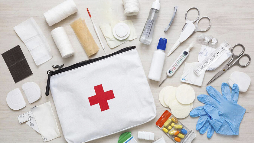 Кинолог рассказал, как правильно оказать первую помощь после укуса собаки