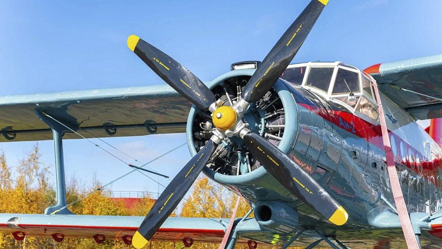 Фото: Telegram | Алексей Титовский