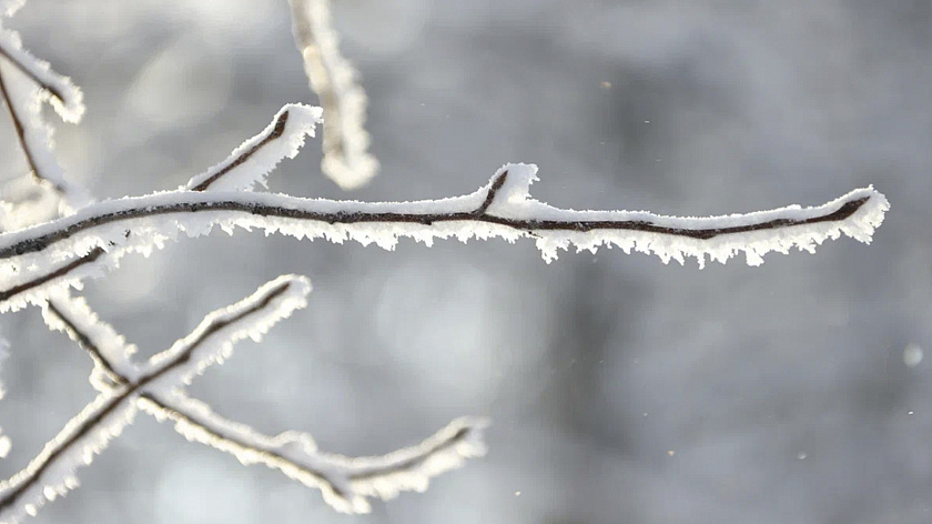 Жителей Екатеринбурга предупредили о грядущих заморозках и снеге