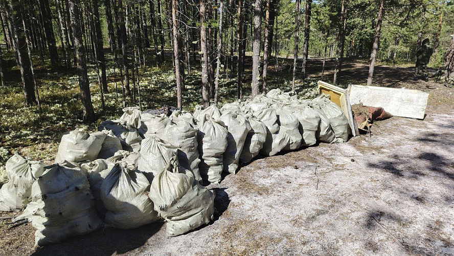 Фото: Tелеграм | Департамент природных ресурсов ЯНАО