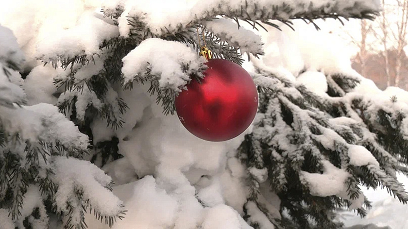 Путин исполнил новогоднее желание пятилетнего жителя Ханты-Мансийска