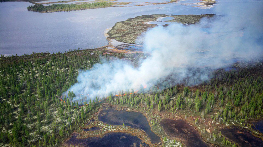 Система видеомониторинга поможет выявлять пожары в Надымском районе