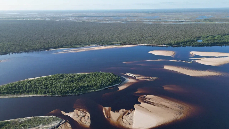 Фото: Семён Сесёкин