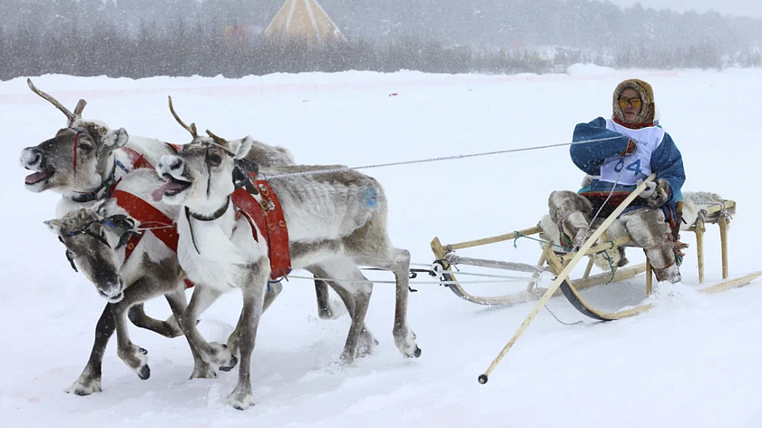 На праздновании Дня оленевода между ямальцами разыграли 17 снегоходов 