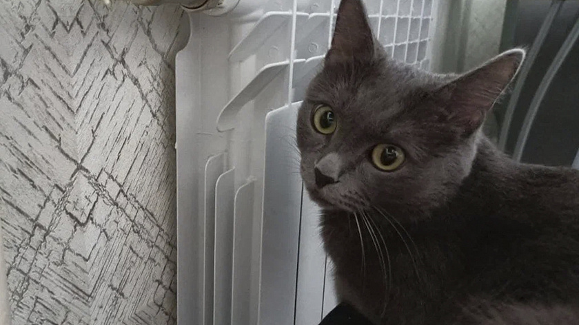 Отопительный сезон в Тюмени стартует 23 сентября