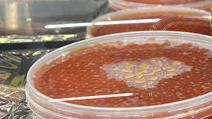 В Красноярском крае обнаружили 15 партий некачественной икры