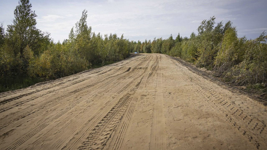 Фото: Telegram | Кирилл Трапезников