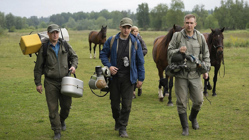 Ученые собрали в парке «Ингилор» уникальные образцы биоматериала приобской лошади