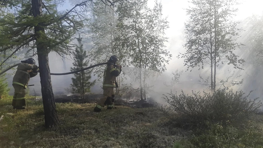На Ямале действуют 125 природных пожаров в семи районах