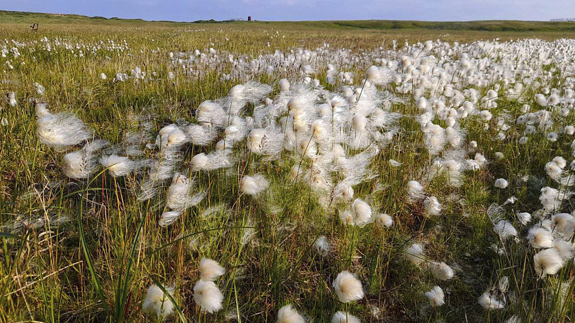 Главврач Салехардской ОКБ посвятил 10-дневный отпуск тундре и кочевникам
