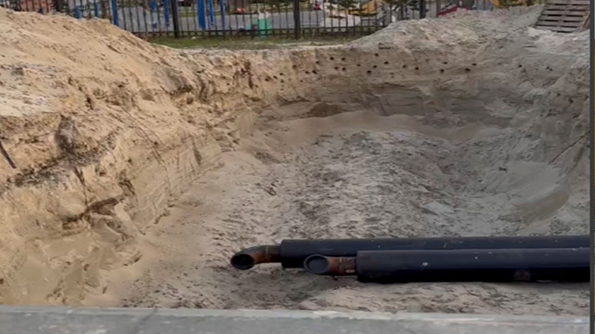 В Новом Уренгое сохранят гнёзда облюбовавших песочную яму стрижей