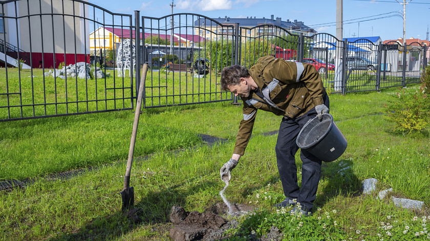 Около 100 новых деревьев высадили возле Ямальской школы-интерната