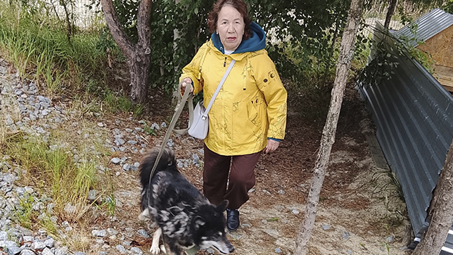 Фото: Приют для животных г.Тарко-Сале