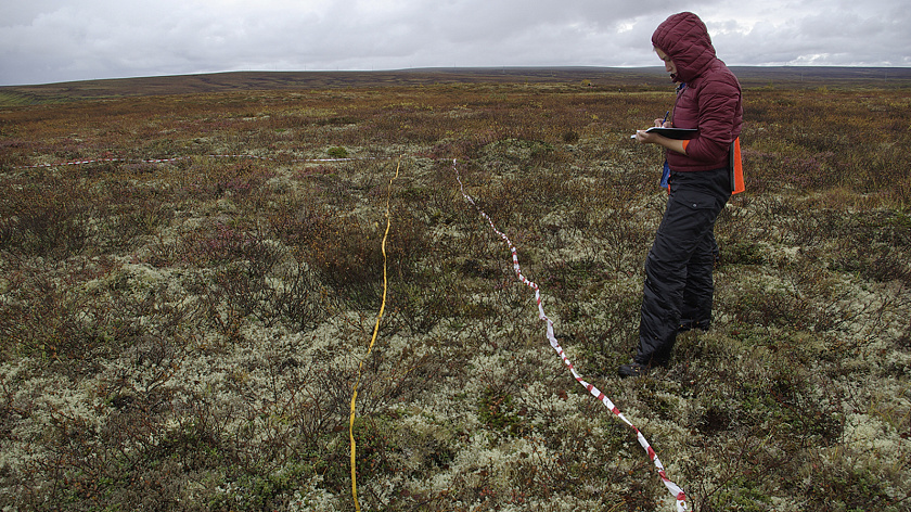 На Ямале стартовал приём заявок на участие в экспедициях «Зелёной Арктики»