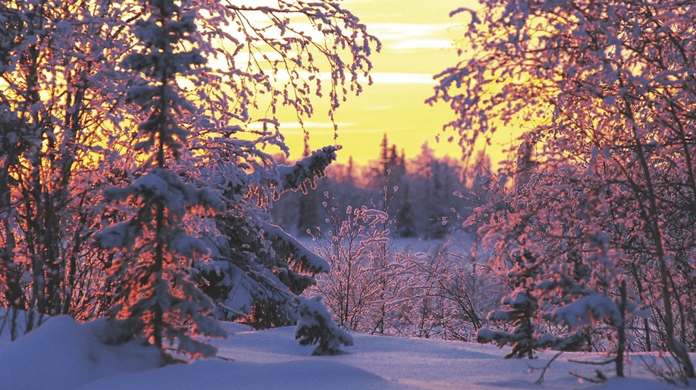 Синоптики рассказали, какая погода придёт на Ямал весной и в начале лета