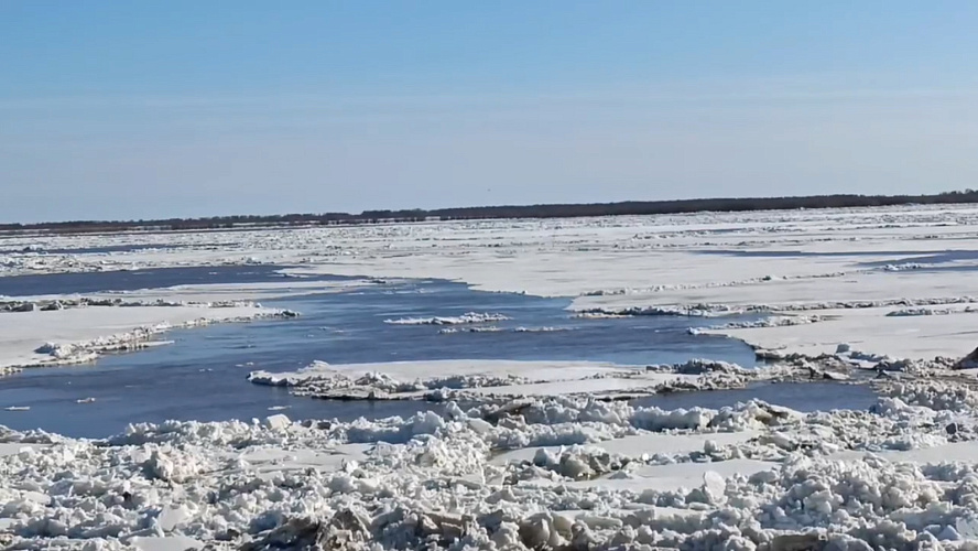 Фото: кадр из видео | ВКонтакте | Казым-Мыс
