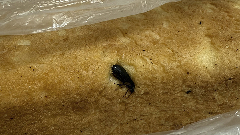 В одном из сетевых магазинов Салехарда покупателю продали хлеб с жуком