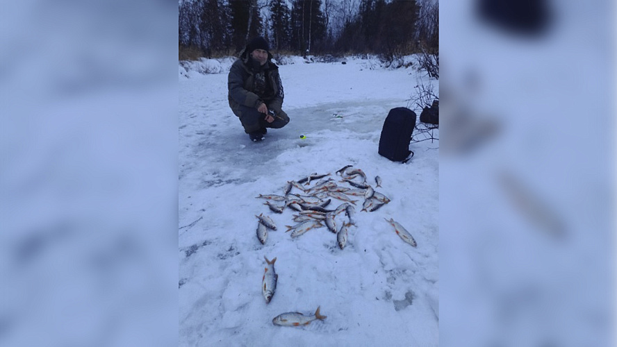 Фото: ВК | Андрей Иванов