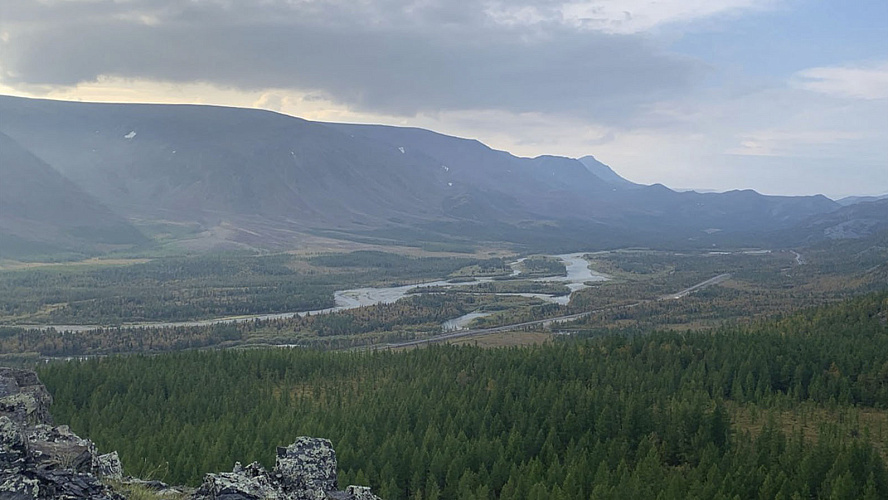 Фото: Институт экологии растений и животных УрО РАН