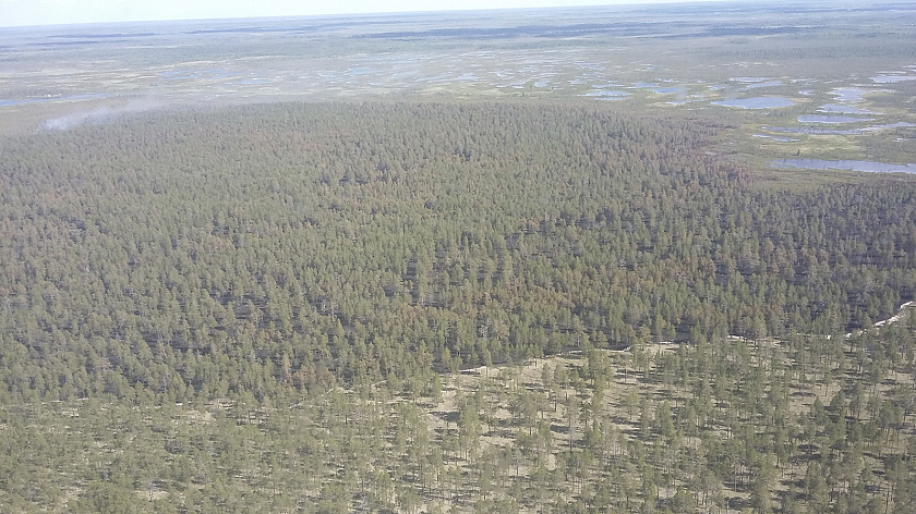 В Свердловской области ночью произошли два землетрясения