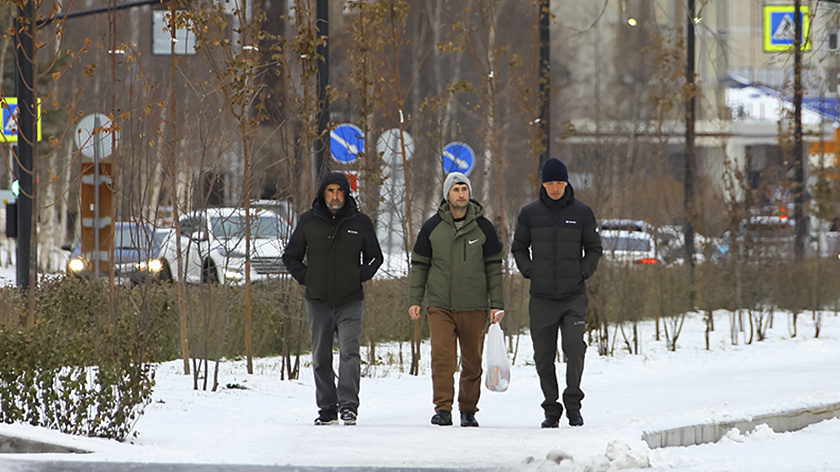 Дмитрий Артюхов представил Артёму Жоге опыт решения вопросов с мигрантами на Ямале 