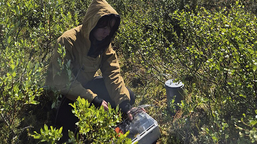 Фото: ВКонтакте | Департамент природных ресурсов ЯНАО