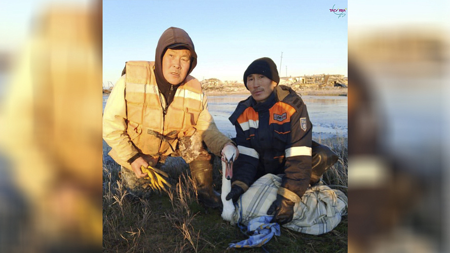 Фото: Telegram | Тазовский район. Официально