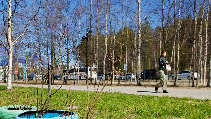 Лето со снегом: погода на Ямале 3 июня