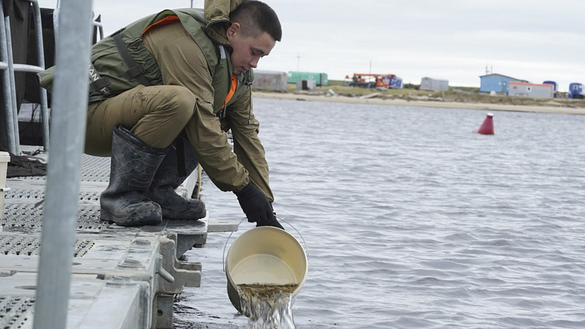 Полтора миллиона молоди муксуна выпустили в Тазовском районе