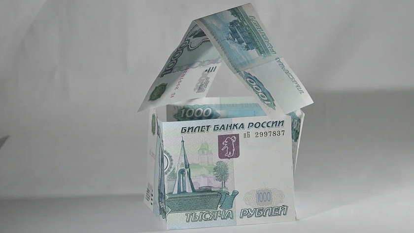 В Нижнем Тагиле продают кота за 50 миллионов рублей