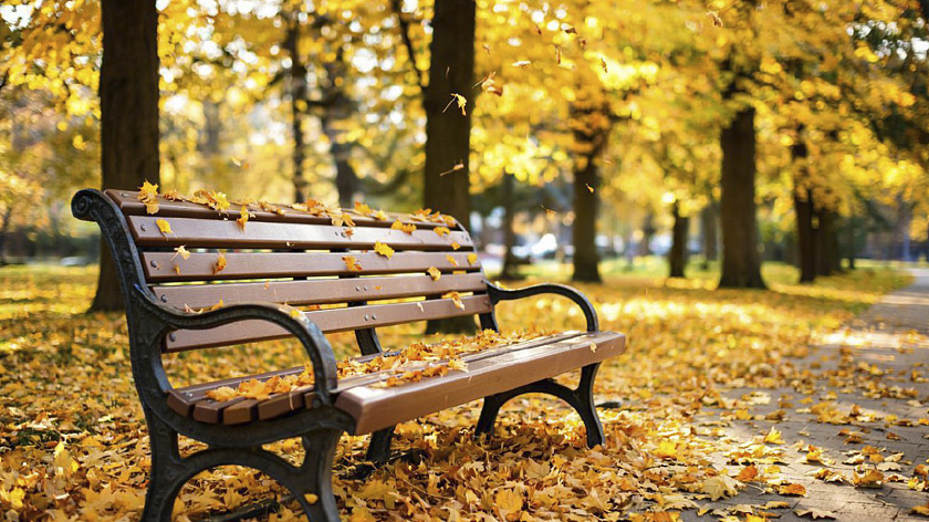 Проект «Уютный Ямал» подарит Салехарду парк Влюблённых 