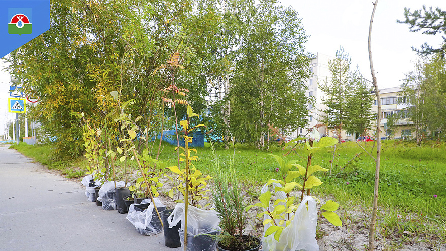 Фото: администрация Надымского района