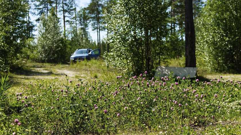 Многодетные семьи Ямала получили около 3 тысяч земельных участков