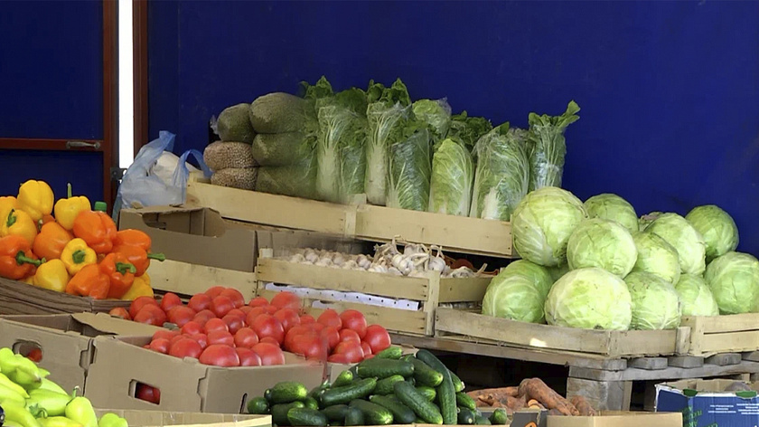 Аграрии Тюменской области поделились рекордными показателями 2025 года