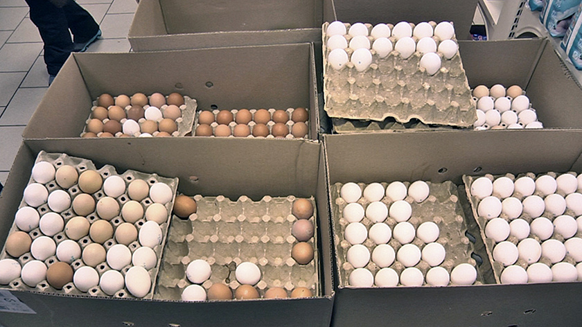 Стало известно состояние пострадавших от вспышки сальмонеллеза в Нягани