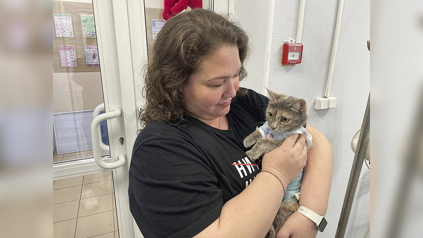 Бесплатная стерилизация: на Ямале растёт ответственность владельцев домашних животных