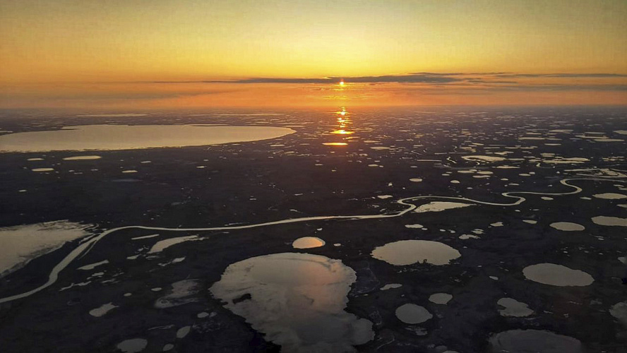 Фото: Tелеграм | Доктор DAA