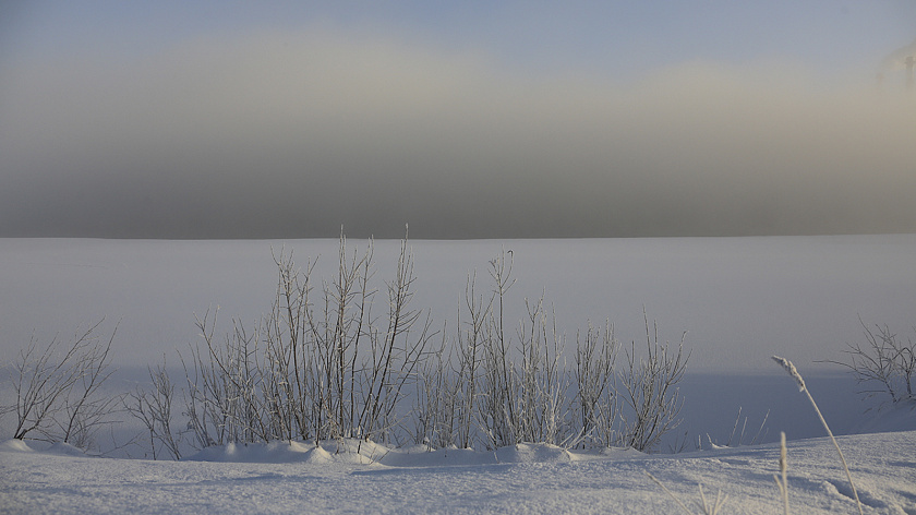 В Салехарде приступили к масштабной расчистке Преображенки